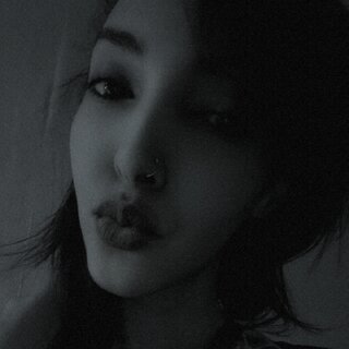 WinterRose: , , 